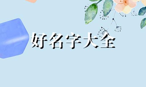 宠物博主如何起名称呢女生