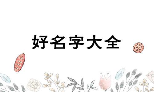 建了个群如何起名字呢女生