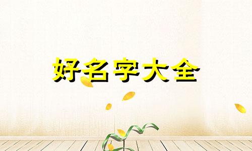 品牌女装如何起名称好听