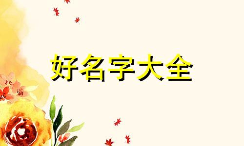 泰拉瑞亚如何起名字好听