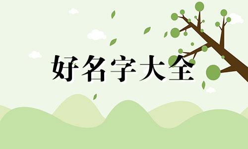 服装创业如何起名字吸引人