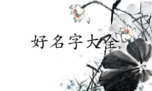 想开直播如何起名好听一点