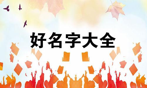 电商达人如何起名称呢好听