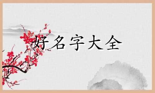 如何给毛绒玩具起名称大全