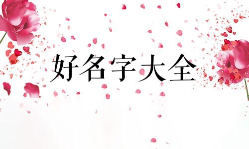 如何给公司起名字美容师