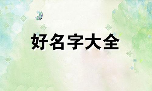 时尚博主如何起名字的呢