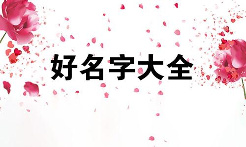 如何给家里的小宠物起名字