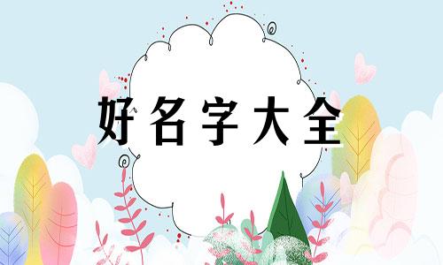 猪宝宝取宸昊两字如何起名