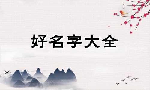 健身博主如何起名字女的