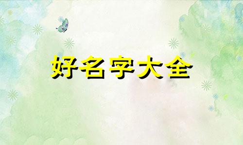 小猫咪如何起名字大全男