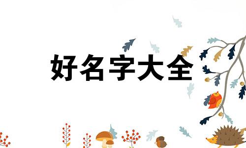 做零食如何起名好听呢视频