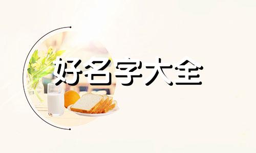 荷兰猪如何起名字大全女