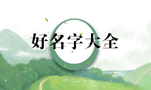 疯狂动物园如何起名字好听