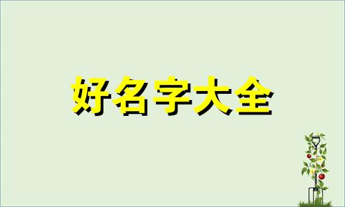 收藏夹如何起名称和名字