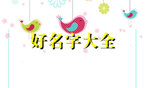 个人微信公众号如何起名字