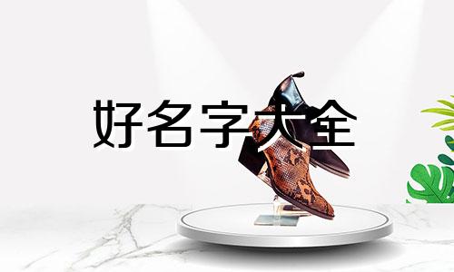 如何用带轩字的起名称