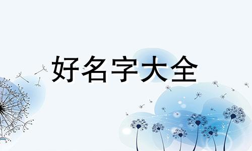 公司视频号如何起名称好听