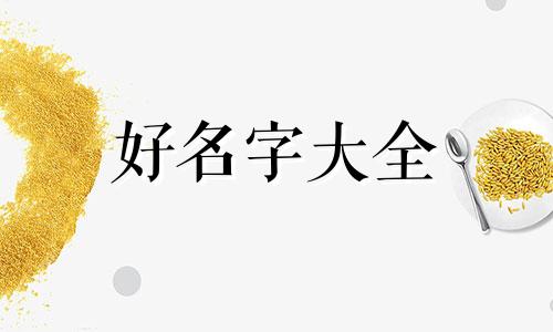 黑兔年如何给孩子起名字呢