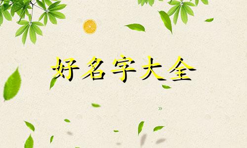 我姓魏面馆如何起名的韩文