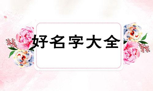 公司如何跟店挂钩起名称