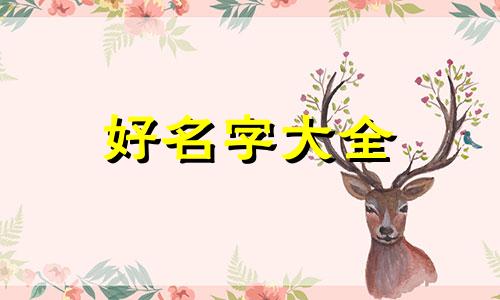 毛氏女孩如何起名字好听点