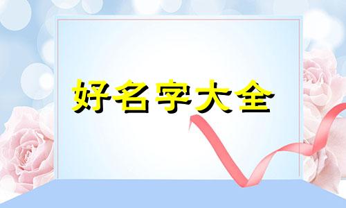 禅拍工作室如何起名字