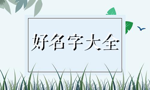 父子公司起名字如何取好听