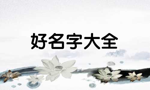 家居建材如何起名子两个字