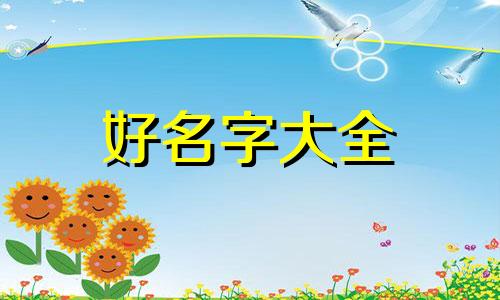 轻食博主如何起名字女