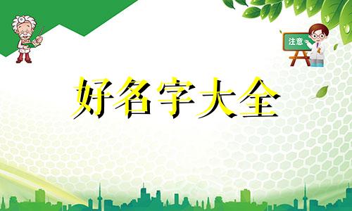 如何为一个项目起名字