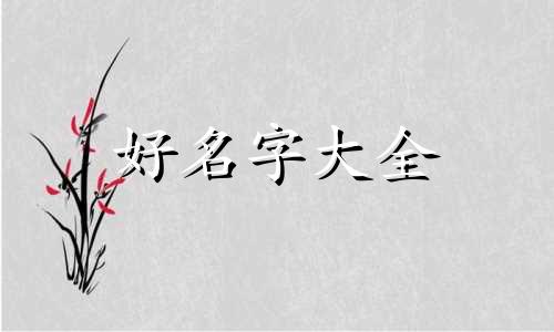 给小奶狗起名叫贝贝如何