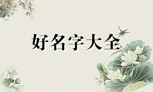 如何浪漫的起名字男孩子