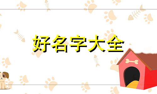 金毛该如何起名字呢男生