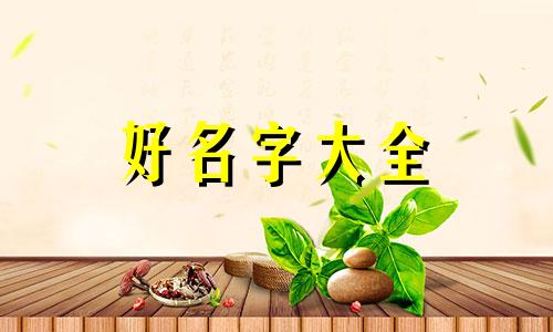 木筏求生如何给宠物起名字