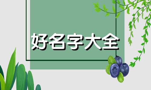 如何给麻将机起名字大全