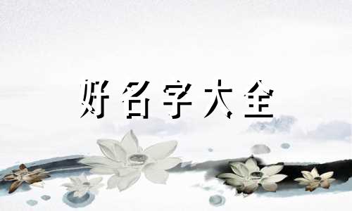 如何给拍的花的照片起名子