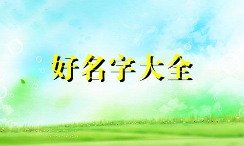 如何给陪诊起名称呢英文