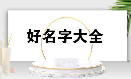 网红公众号如何起名称呢