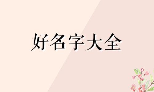 棉花如何起名字女孩子可爱