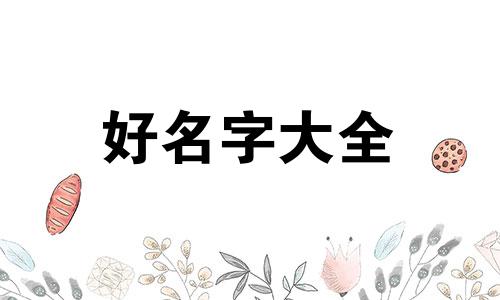 二哈为网名如何起名字女生