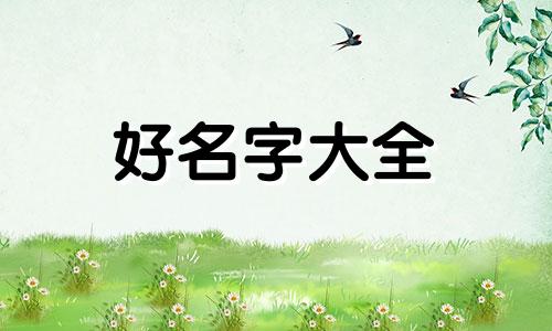 该如何给小猫起名字呢英文