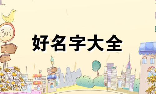 如何给自己的冰粉起名字