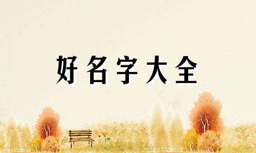 健身博击如何起名好听一点