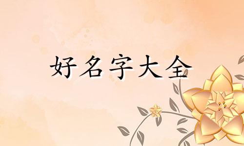 如何给喵咪起名字大全集