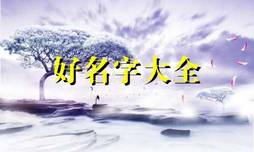 中介人如何起名字好听点