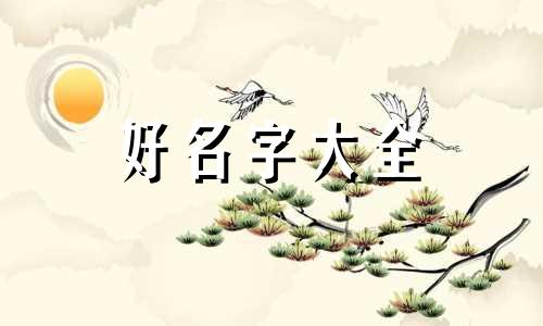 崔姓和沙姓的孩子如何起名