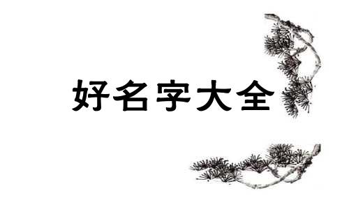 孔姓如何起名字男孩子