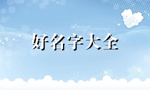 美短起司猫如何起名字