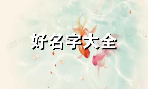 如何给柯基起名字男孩英文