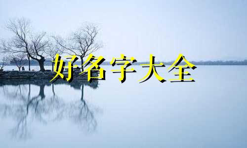 综艺片如何起名字好听女生